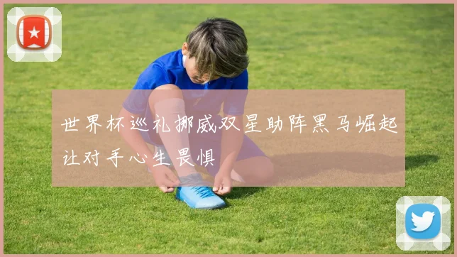 世界杯巡礼挪威双星助阵黑马崛起让对手心生畏惧