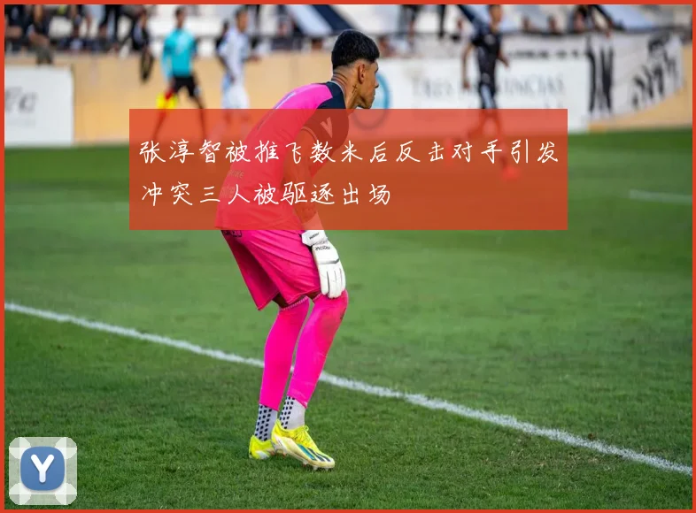 张淳智被推飞数米后反击对手引发冲突三人被驱逐出场